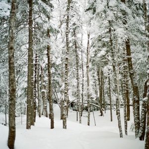 Meet your Posher, Paul